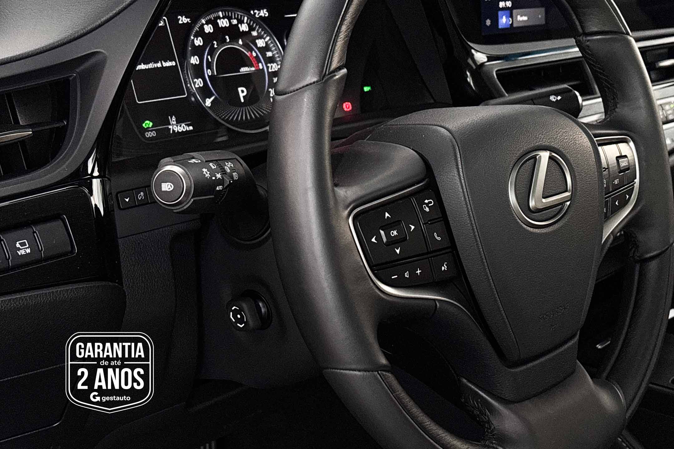 LEXUS-ES300H