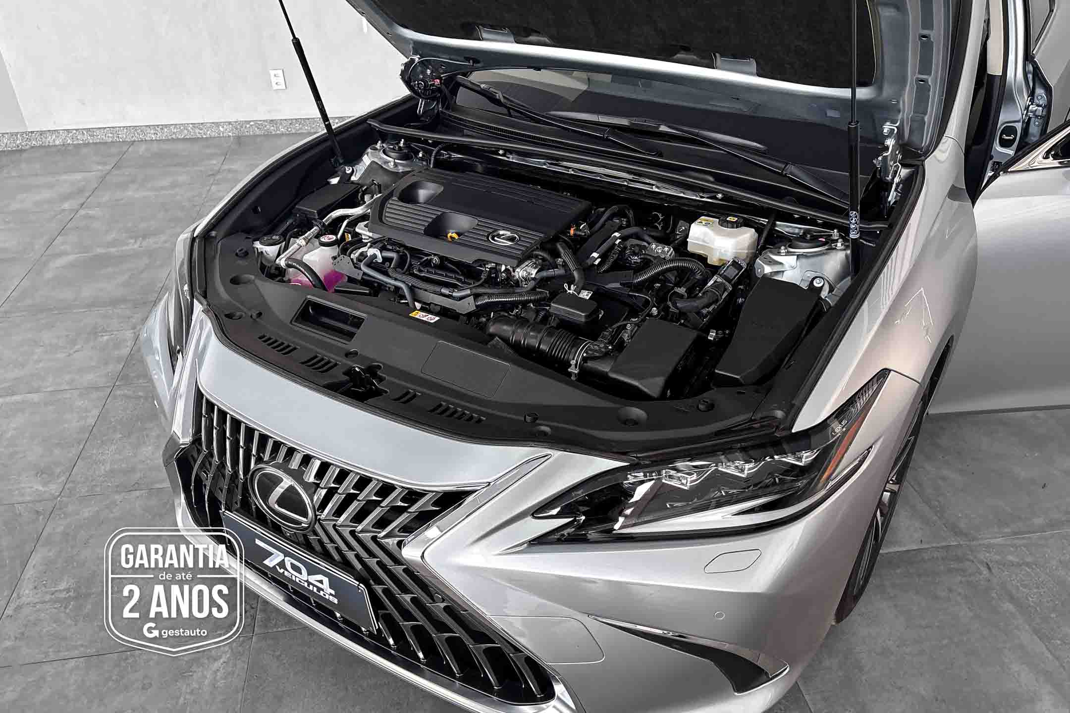 LEXUS-ES300H