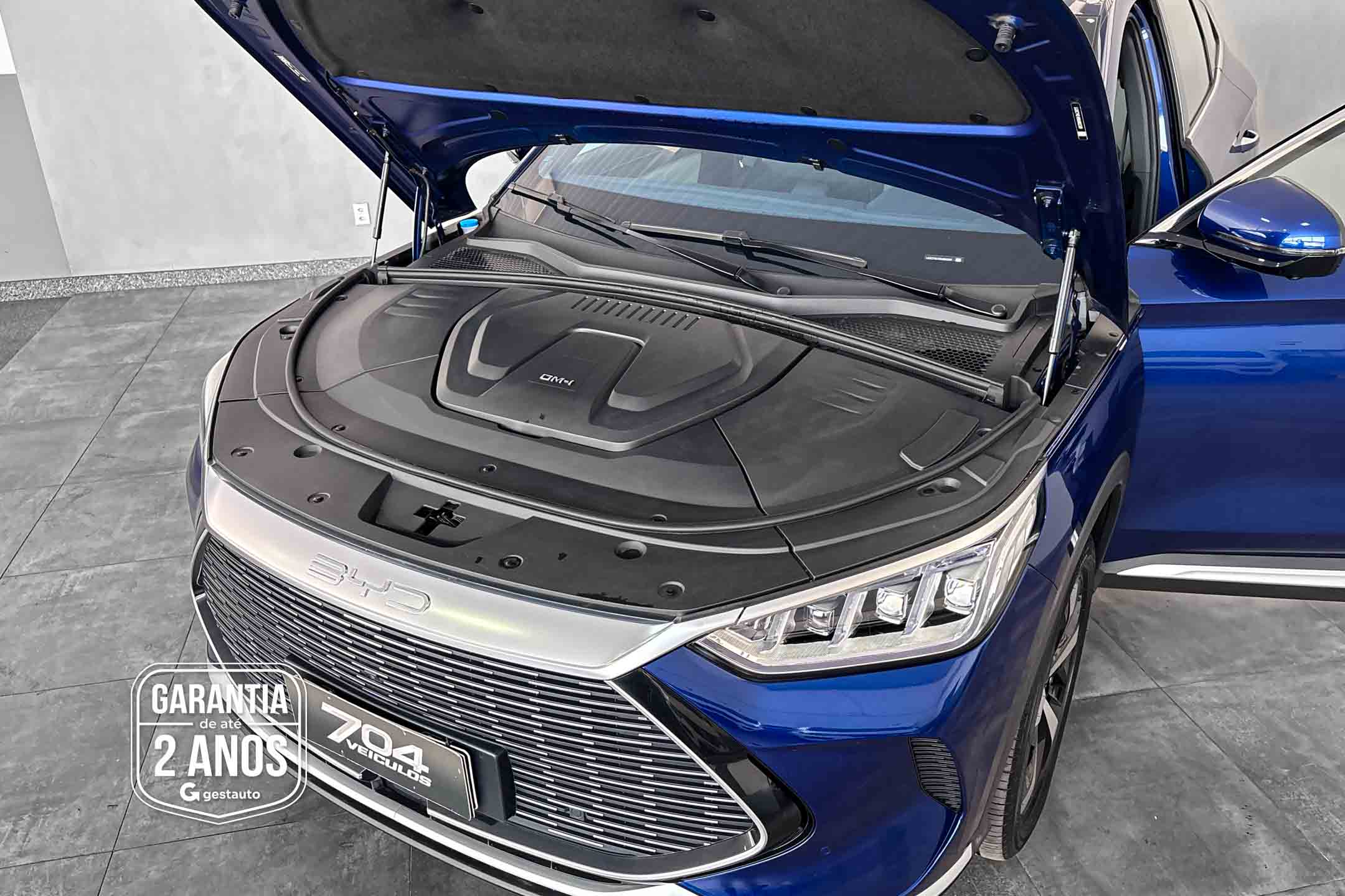 BYD-SONG PLUS GS DM
