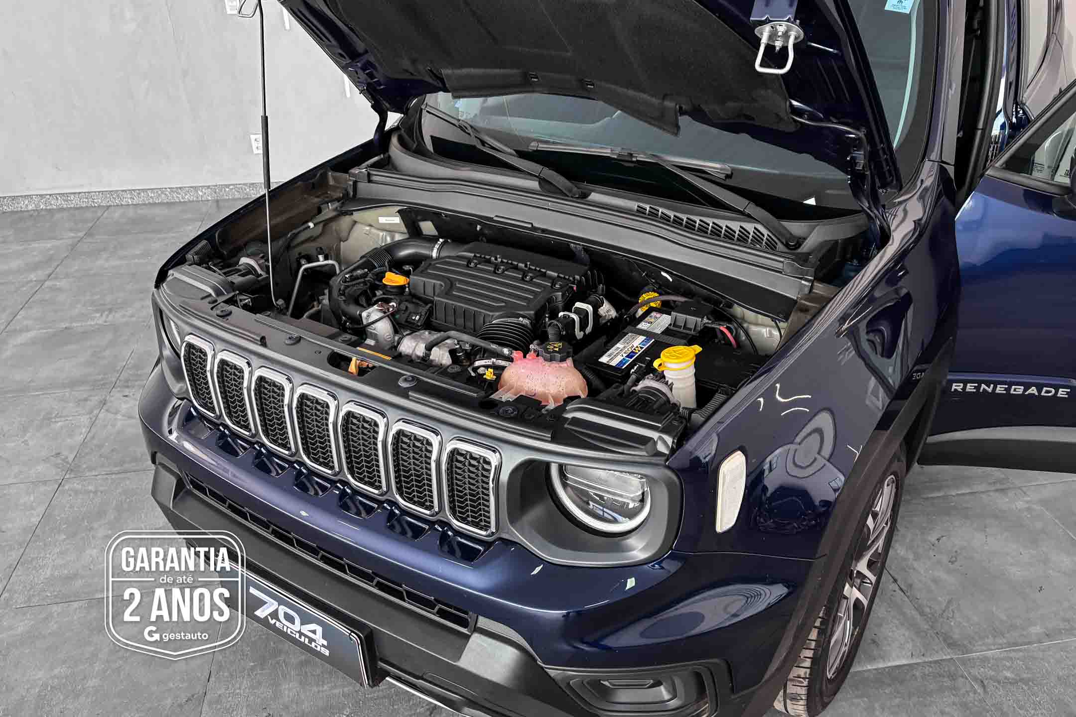 JEEP-RENEGADE LGTD T270